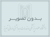 برگزاری کارگاه " مطالعات امكانسنجي و ارزيابي مالي-اقتصادي طرح های سرمایه گذاری  در بخش سلامت با استفاده از نرم فزار کامفار COMFAR III توسط  مرکز توسعه و هماهنگی پژوهش دانشگاه RDCC