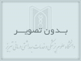 برگزاری کارگاه 